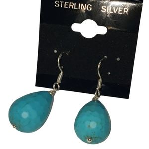 Turquoise magnesite Sterling silver drop Earrings